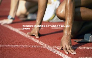 杏彩体育官网-纽卡斯尔联后卫马丁内斯再伤愈复出，或将出场战绩