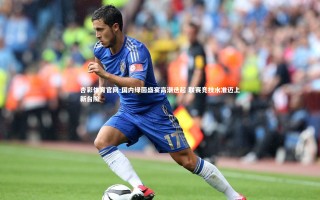 杏彩体育官网-国内绿茵盛宴高潮迭起 联赛竞技水准迈上新台阶