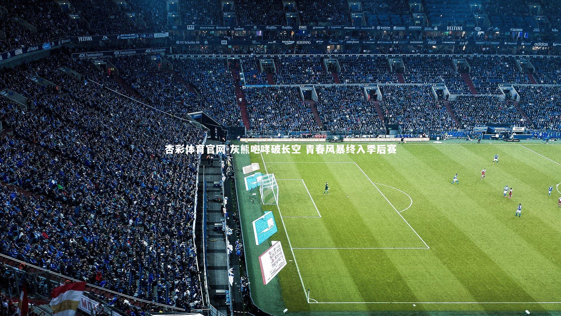 杏彩体育官网-灰熊咆哮破长空 青春风暴终入季后赛-第2张图片-杏彩体育官网