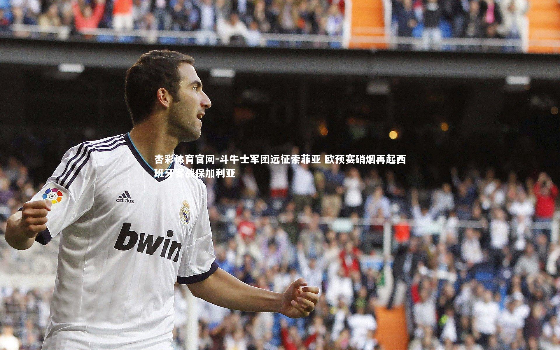杏彩体育官网-斗牛士军团远征索菲亚 欧预赛硝烟再起西班牙客战保加利亚-第2张图片-杏彩体育官网 杏彩体育官网-斗牛士军团远征索菲亚 欧预赛硝烟再起西班牙客战保加利亚-第2张图片-杏彩体育官网